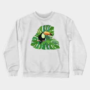 Toucan Crewneck Sweatshirt